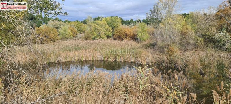 Foto 0d688e31-1161-4019-b4fa-3871dd4673cd. Fondo rustico in Zona Industrial Arganda del Rey