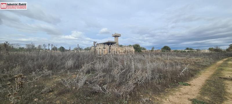 Foto 1d07056c-996a-4cbc-98fc-56205e840174. Fondo rustico in Zona Industrial Arganda del Rey