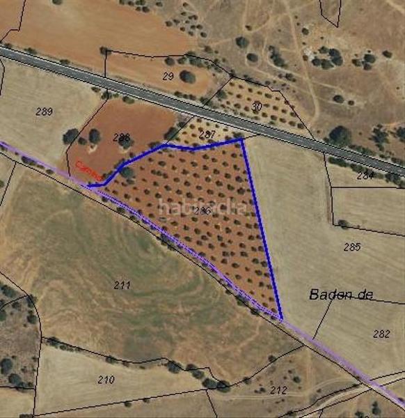 Foto a7a9f9a2-a85e-41e8-b076-fd4fcf5cc367. Finca rústica parcela de 13.882 m para explotación fotovoltaica o agraria venta o alquiler en Villar del Olmo