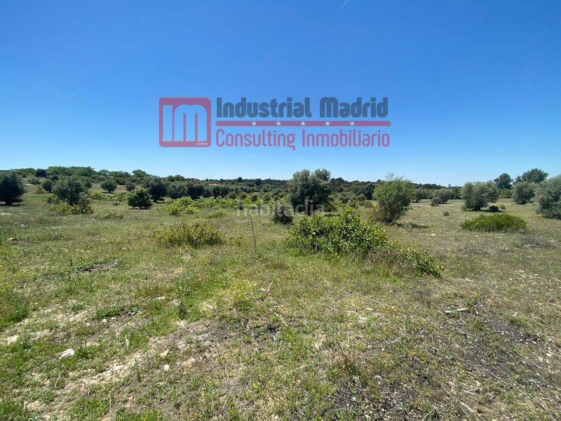 Foto 3413a284-16be-4fdd-9240-3e5298560cf8. Finca rústica a El Mirador-El Grillero Arganda del Rey