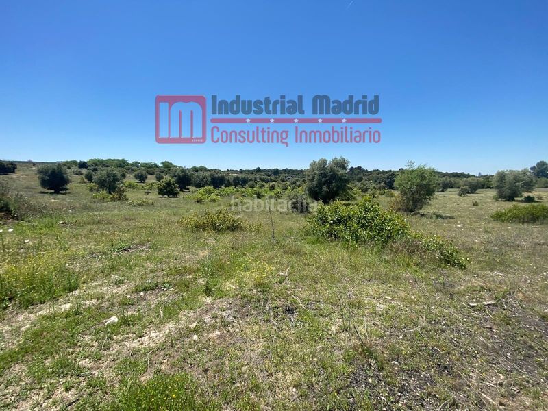 Foto 522751e2-17ac-4806-ad2f-6d7b8de6ea94. Finca rústica a El Mirador-El Grillero Arganda del Rey