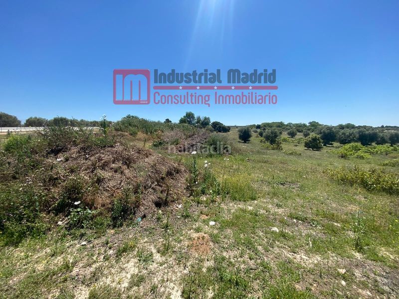 Foto 6b289f96-b1de-4315-8815-ad8b5b4a289c. Finca rústica a El Mirador-El Grillero Arganda del Rey