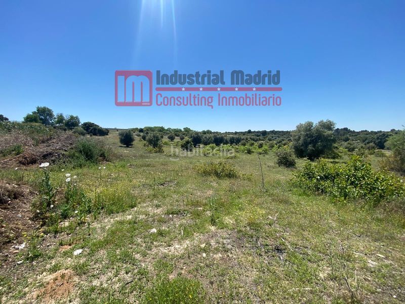Foto e0ff1c59-caff-4d07-a132-566b7058626c. Finca rústica a El Mirador-El Grillero Arganda del Rey