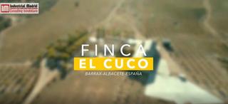Masia en Barrax. En venta excelente finca en el barrax  albacete
