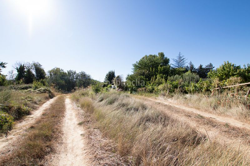 Foto 464d685a-7003-4978-8e83-d6d09f9895d4. Finca rústica a Tafalla - paraje makotxa a Tafalla