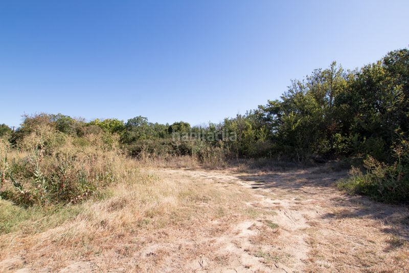 Foto 98556fc4-7355-40b7-a5a1-00c0630465e7. Finca rústica a Tafalla - paraje makotxa a Tafalla