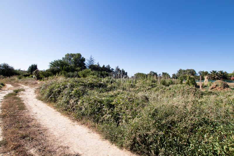 Foto b8910ae4-0f98-42e9-9cc0-1755b4874288. Finca rústica a Tafalla - paraje makotxa a Tafalla