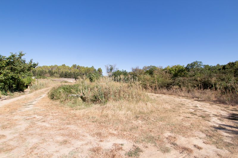 Foto d8137973-f59a-40c3-9569-b64c63521624. Finca rústica a Tafalla - paraje makotxa a Tafalla