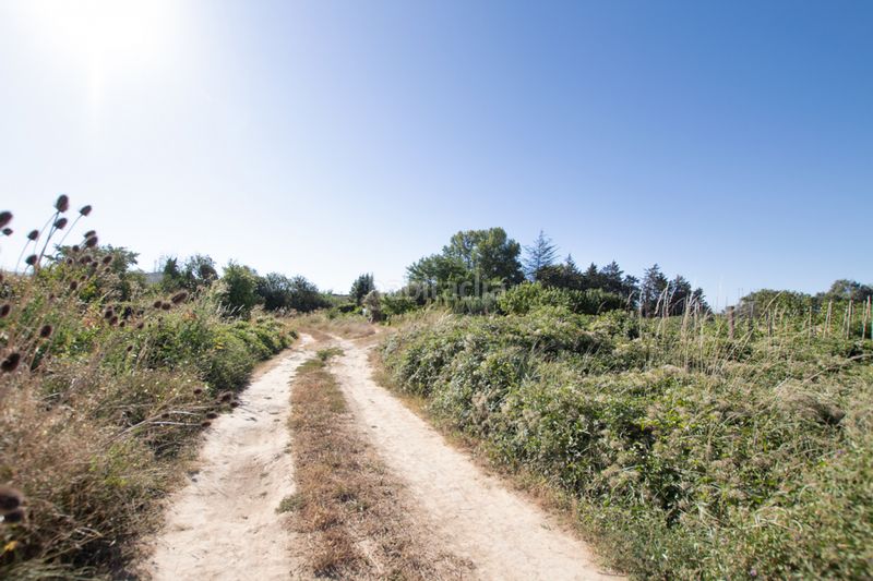 Foto e4b0ef7d-cfc6-4d47-b215-ddda4762bc8f. Finca rústica a Tafalla - paraje makotxa a Tafalla