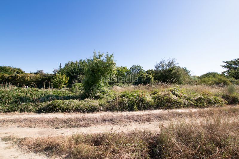 Foto f907b6bc-20ea-40f7-82a8-7260e970448f. Finca rústica a Tafalla - paraje makotxa a Tafalla