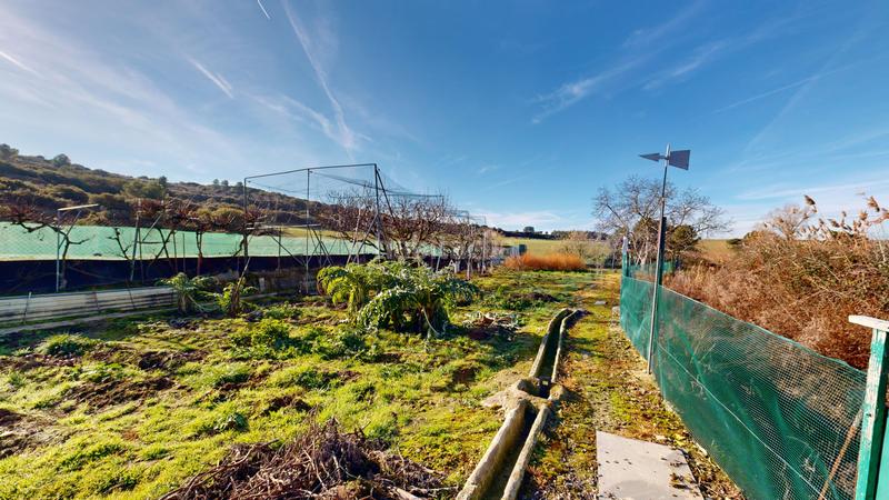 Foto 195fa165-dcf2-4a2f-b8ec-5f1fabd44da3. Terreno residencial finca rústica en Tafalla