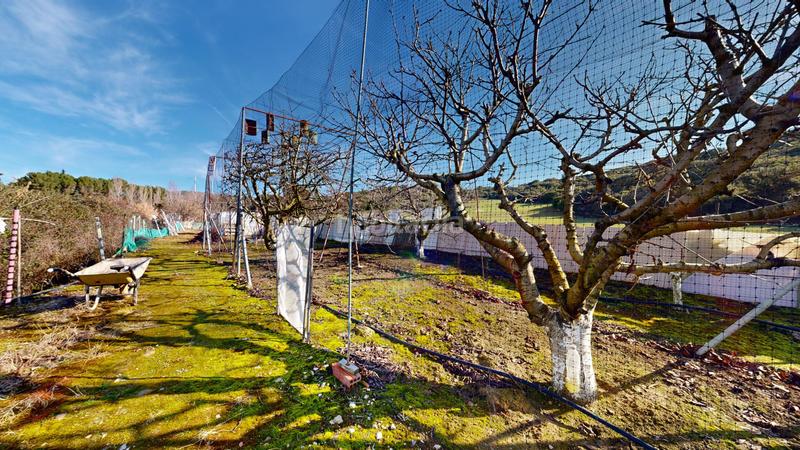 Foto 68458f71-75ca-4ef5-88ef-a8cc14651267. Terreno residencial finca rústica en Tafalla