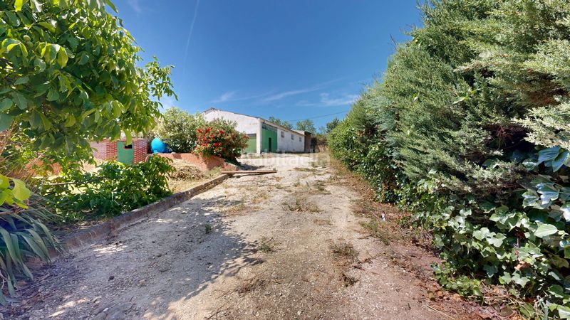 Foto 9d57d86e-73c5-4b6a-b6b0-b61900156741. Finca rústica a Tafalla