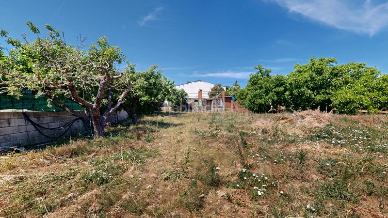 Foto eb16d4b5-8eb5-4092-a55c-f9a5b7dab23e. Finca rústica a Tafalla
