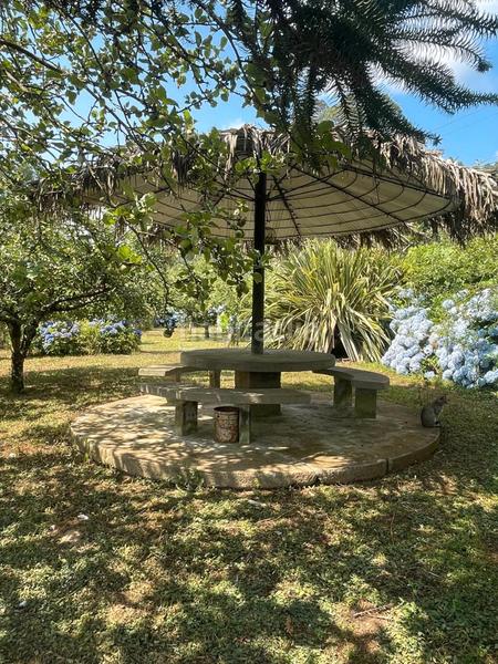 Foto 38a2abcb-6af8-46fa-975b-3806a5f5fa49. Casa amb calefacció aparcament a Parroquias Rurales Culleredo