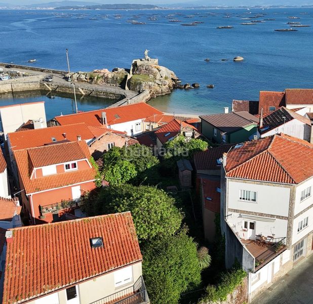 Foto a933e292-fc13-40d1-b1dd-40388594945c. Masia a Palmeira Ribeira