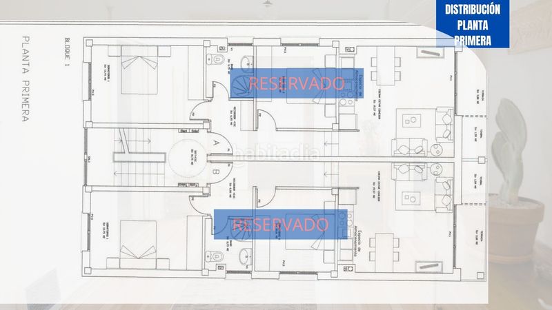 Foto 593e3006-5a92-421b-bbf3-8e668741838c. Flat with parking in Palmeira Ribeira
