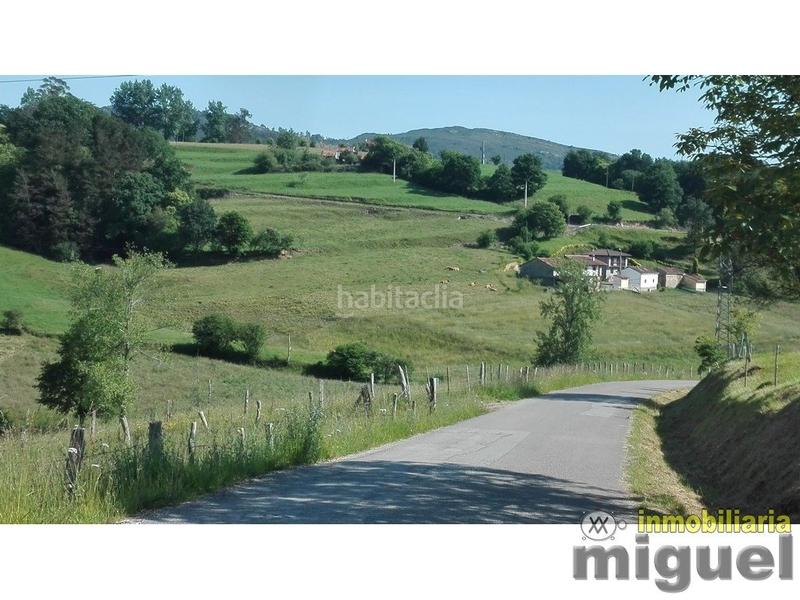 Foto 3a6757be-16f7-4198-9dbb-c810502c4702. Mas dans Herrerías