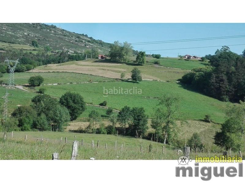 Foto adbf4a8e-e560-4a2f-880b-05c192943e4d. Mas dans Herrerías