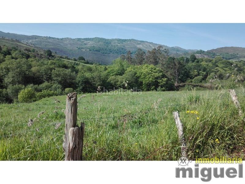 Foto f51a8525-748e-4acb-819e-f37a01fddeed. Mas dans Herrerías