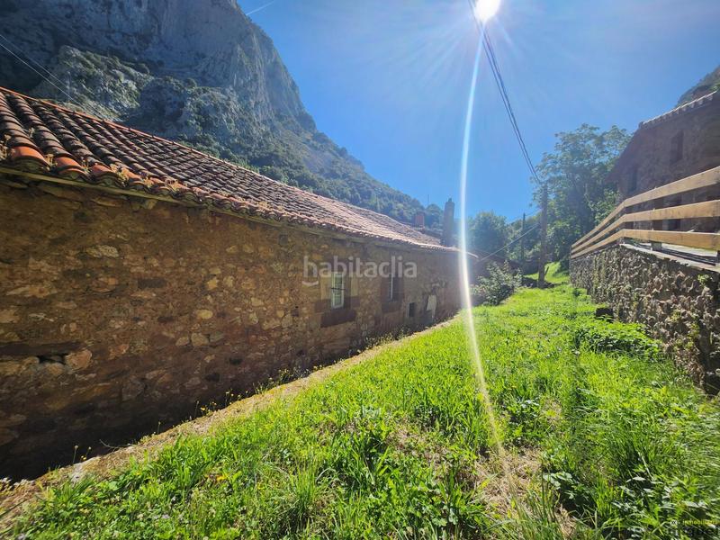 Foto 57591508-31eb-4f4f-a612-5a664cf2c55b. Mas dans Peñarrubia