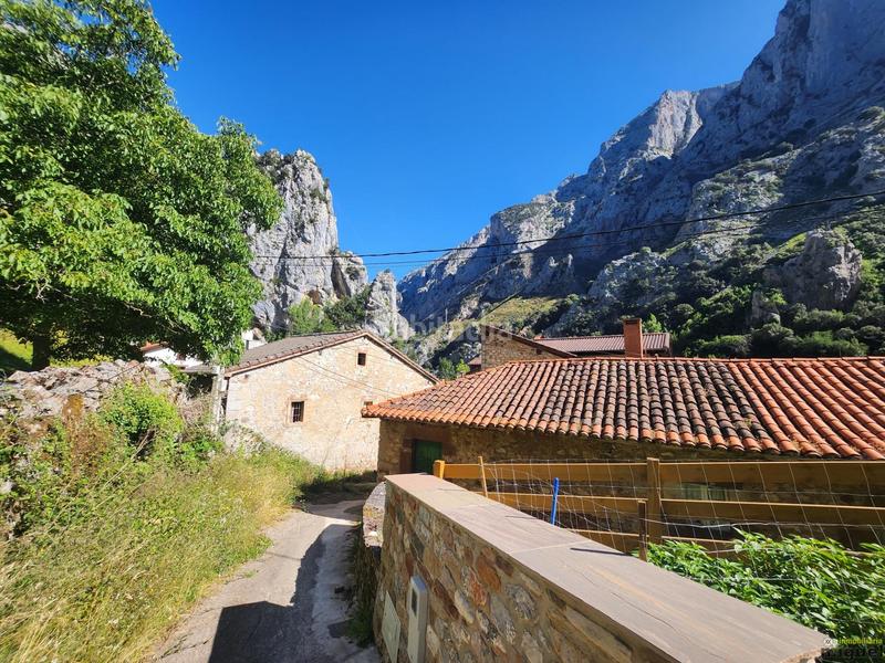 Foto 701a4703-f10e-42e3-94d0-a009b5c41bea. Mas dans Peñarrubia