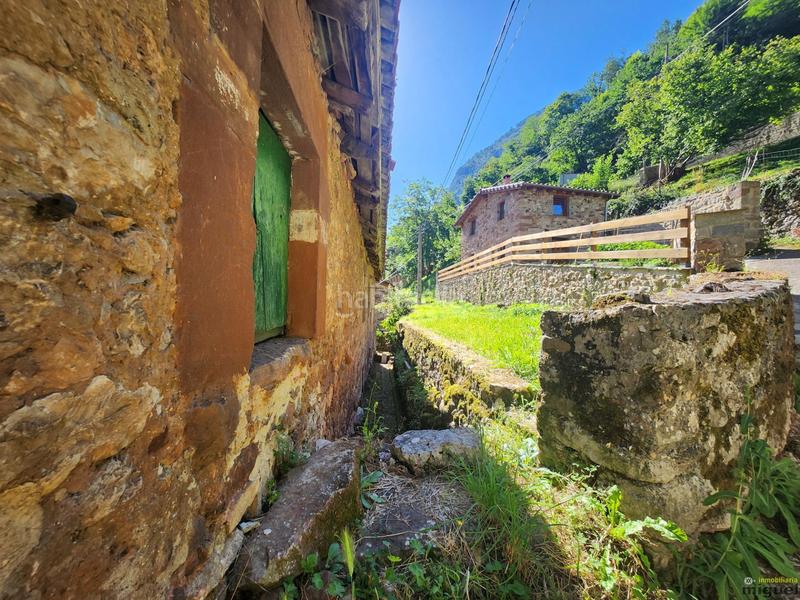 Foto f5454200-4edb-4554-a36f-5f0e345aabeb. Mas dans Peñarrubia