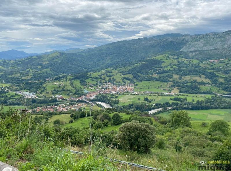 Foto 51d8f32b-1f6a-4058-8d9f-619f911c0bec. Casa a Peñamellera Baja