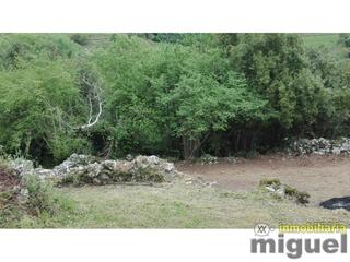 Wohngrundstück  La borbolla. Se vende parcela edificable de 700 m en el concejo de llanes