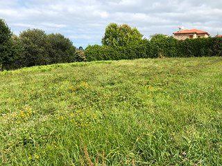 Residential Plot in N/a 6b