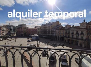 Rent Flat in Casco Antiguo