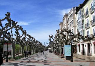 Flat in Casco Antiguo