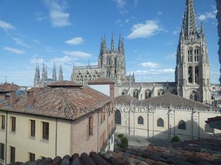 Affitto Appartamento in Casco Antiguo