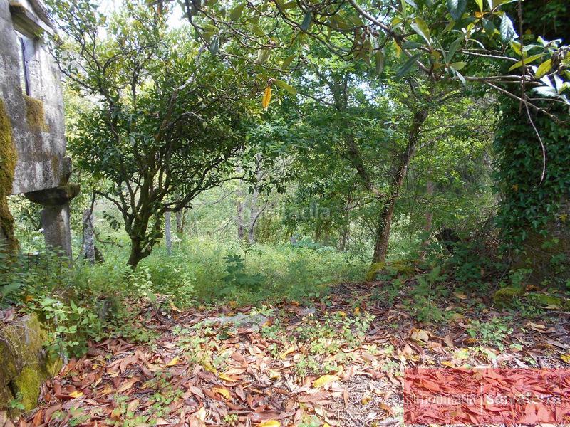 Foto fd7dbddb-97e9-4061-a8b9-b3630ee83564. Casa a Covelo (O)