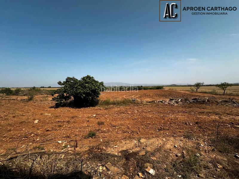 Foto 94aaec04-077e-46f9-8344-25155cc86db8. Bauernhof in Campo Nubla Cartagena