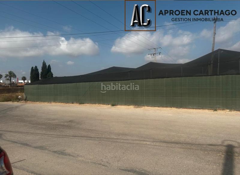 Foto 3236e4f2-cd3c-402e-8087-e0d312850b17. Alquiler finca rústica se alquila finca con plantación de pitahayas – los alcázares en Torre - Pacheco