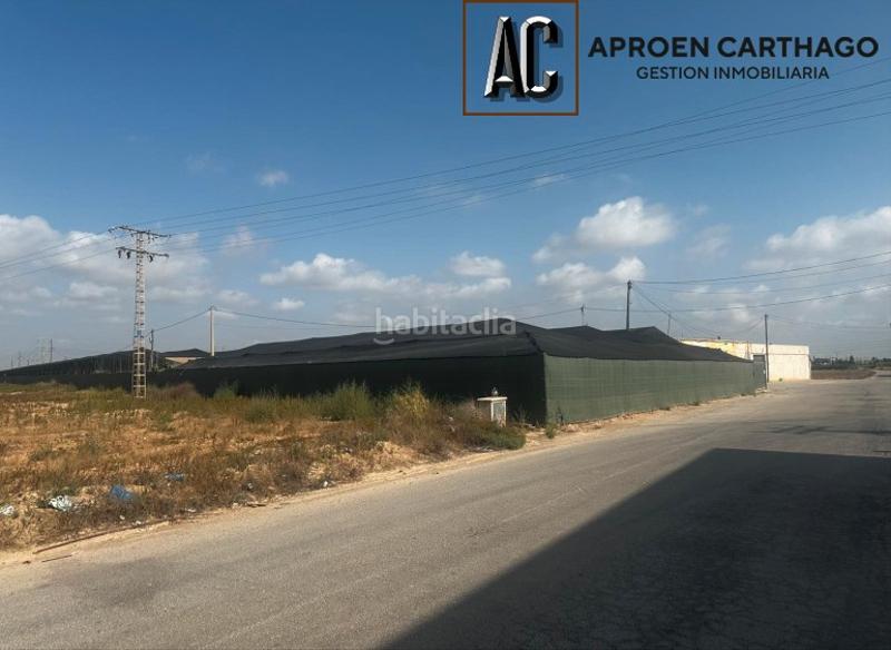 Foto d089045a-12f1-4790-940a-f0184c567217. Alquiler finca rústica se alquila finca con plantación de pitahayas – los alcázares en Torre - Pacheco