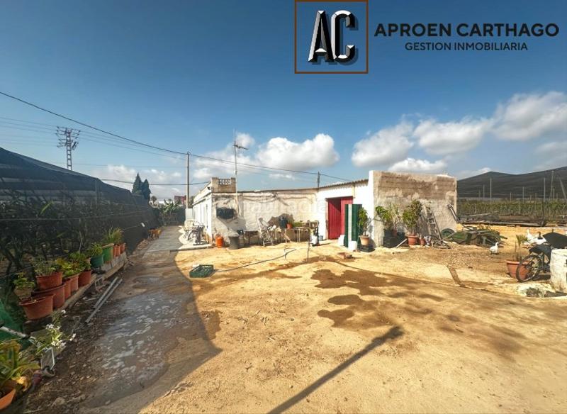 Foto e6cee8f8-5ae0-4bcc-8b6f-2f5b60b249c4. Alquiler finca rústica se alquila finca con plantación de pitahayas – los alcázares en Torre - Pacheco