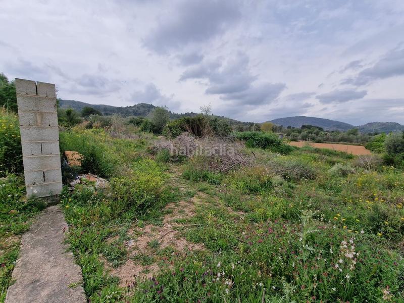 Foto b0281c55-999f-425e-94e2-cdda61986219. Terreno residenziale in Riba - roja de Túria
