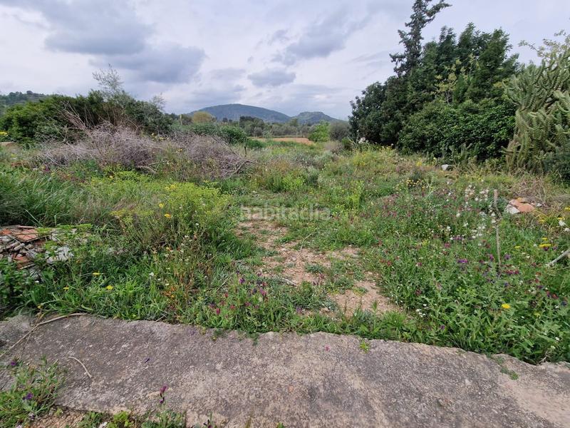 Foto fc9bbb22-99f2-452b-946b-686c86b7e2c7. Terreno residenziale in Riba - roja de Túria