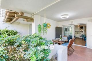 Appartement  Port joan. Acogedor apartamento con amplia terraza y acceso a jardín en san
