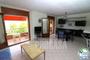 Ampliar foto 5f852fbe-b87d-4c3d-8a7d-a2b7d3e63bbc.jpg
