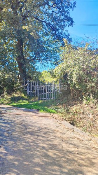 Foto 7cba20ab-b042-4be3-91b5-1ed52a80d553. Finca rústica finca no edificable en castiello en Lena