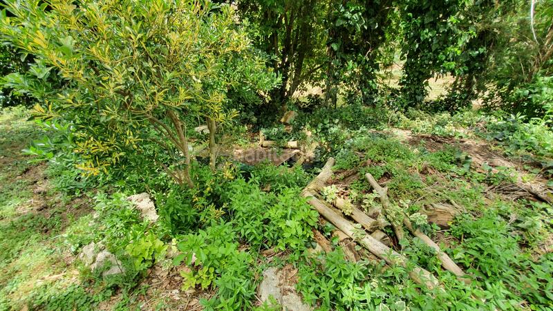 Foto 01d0ad38-e5d5-4d7c-8e79-04b76fee6e96. Casa con riscaldamento parcheggio in Allende el Río Palencia