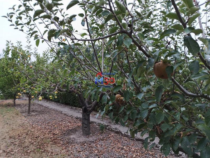 Foto 8760d0f1-ce39-4e8d-a68c-29acfa653941. Terreny residencial a Centro Miranda de Ebro