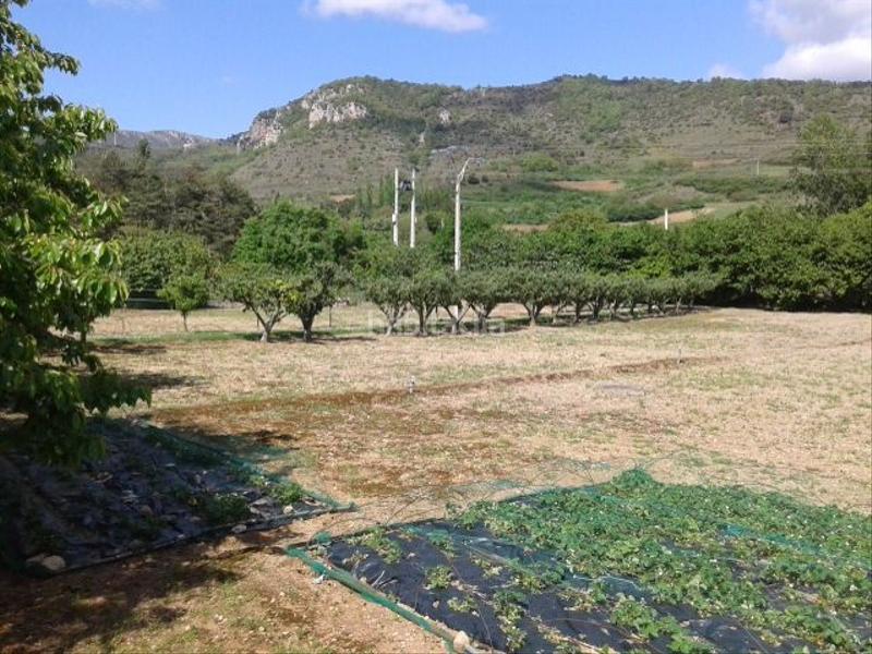 Foto 5fb8b749-85af-48c4-a5db-39c74c2a008b. Casa amb aparcament a Pancorbo