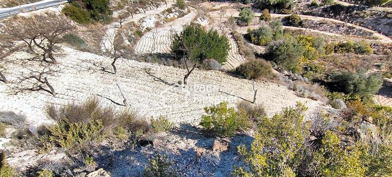 Foto 00236af1-5406-45dc-9e4b-2a22ec868b89. Finca rústica terreno rustico de 11.800 m2. en Relleu