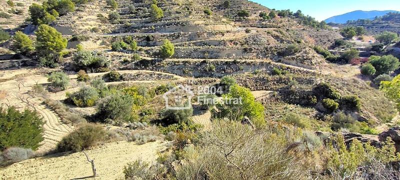Foto 4ead6abf-31dd-4359-98aa-f5253c6003e0. Finca rústica terreno rustico de 11.800 m2. en Relleu