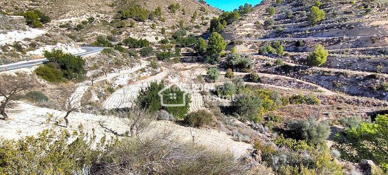 Foto 526ce9f1-193c-4926-8978-a93f4c9c6f84. Finca rústica terreno rustico de 11.800 m2. en Relleu