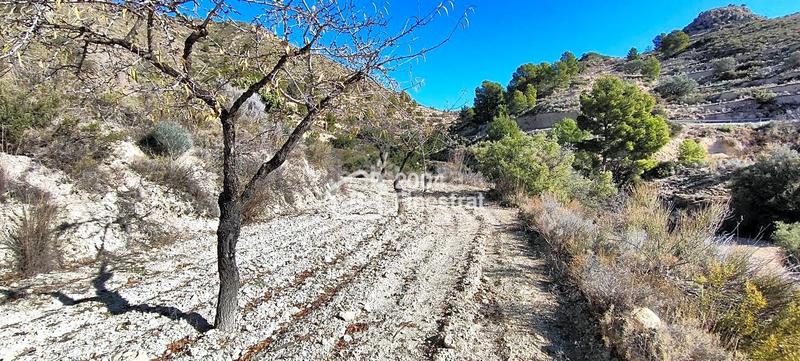 Foto 90c73e05-2101-49d6-9870-a6efc7bf8608. Finca rústica terreno rustico de 11.800 m2. en Relleu